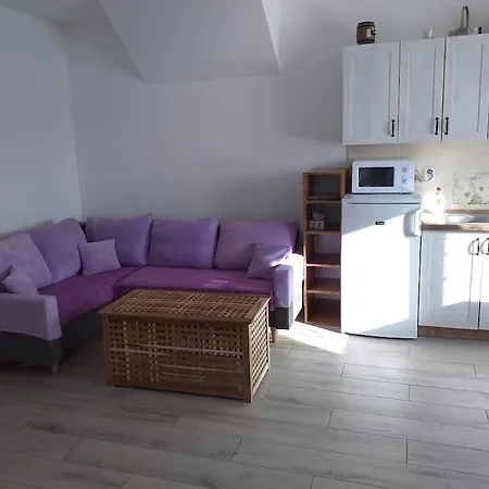 Apartma Pro Hosty Ve Starem Dvore C. 2 Lägenhet Třemošnice